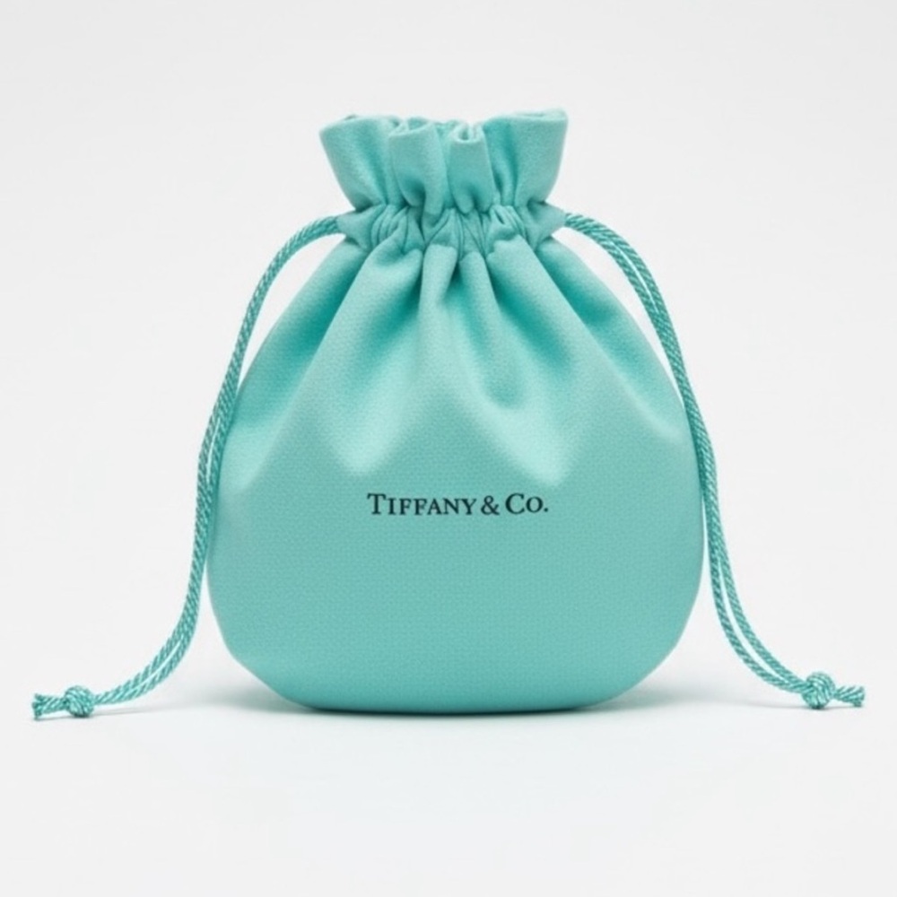 Tiffany & Co. Velvet Jewelry Bag